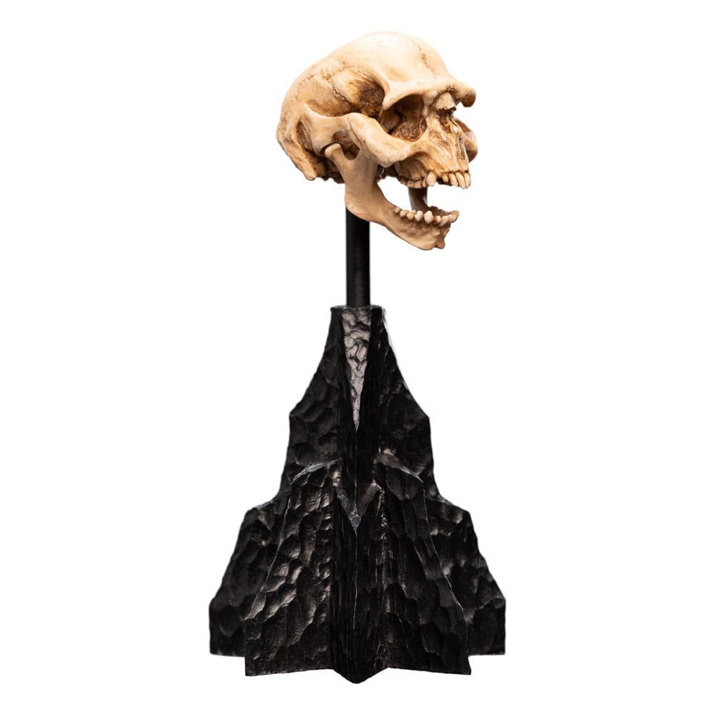 Lord of the Rings - Mini Statue - Skull of a Moria Orc