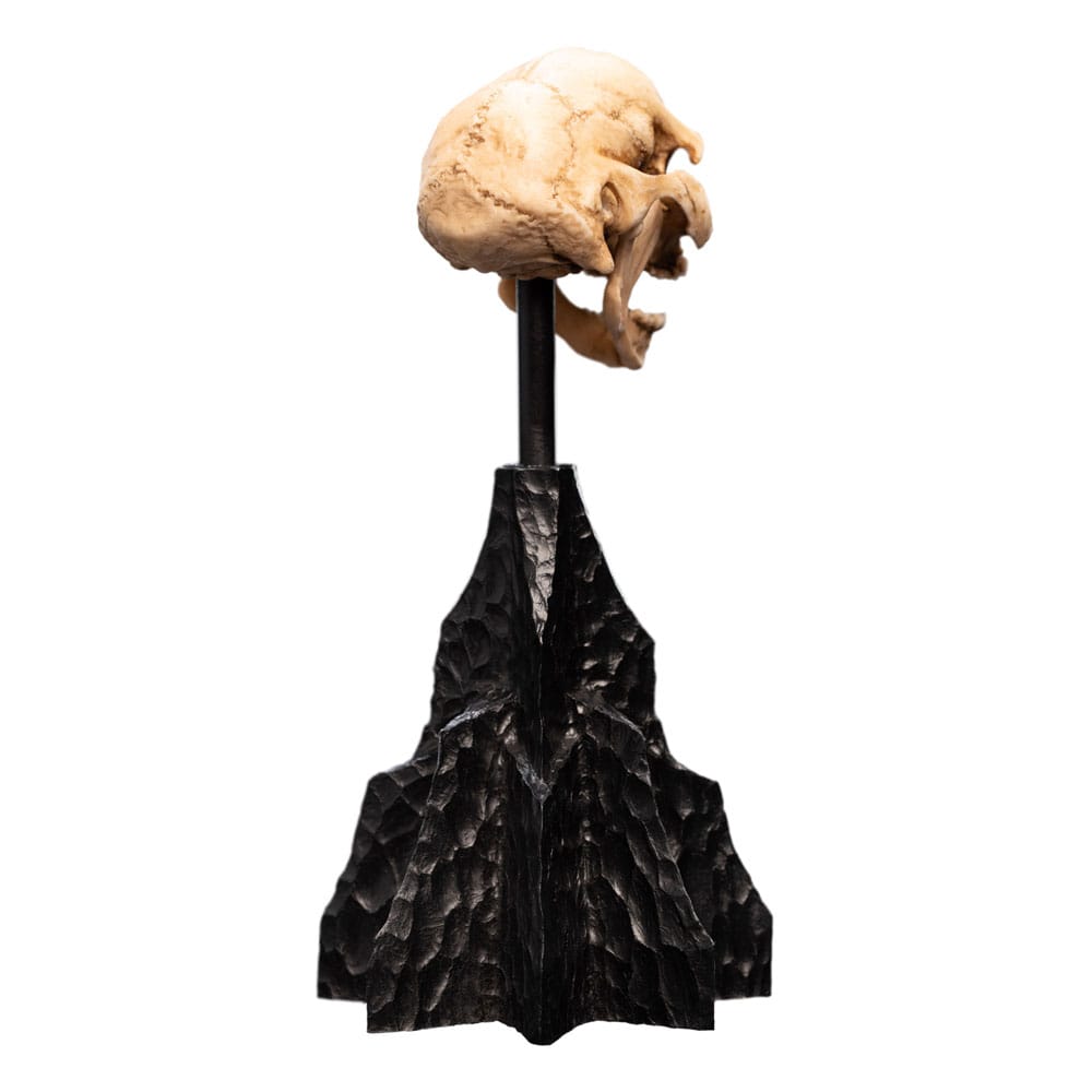 Lord of the Rings - Mini Statue - Skull of a Moria Orc