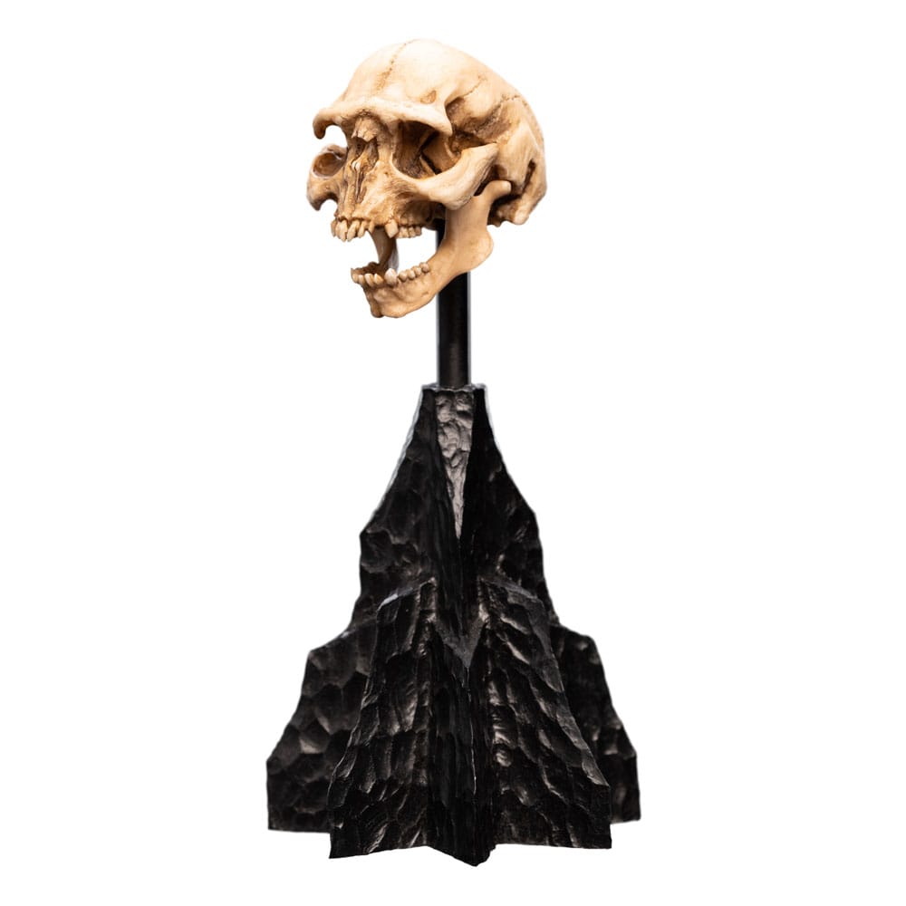 Lord of the Rings - Mini Statue - Skull of a Moria Orc