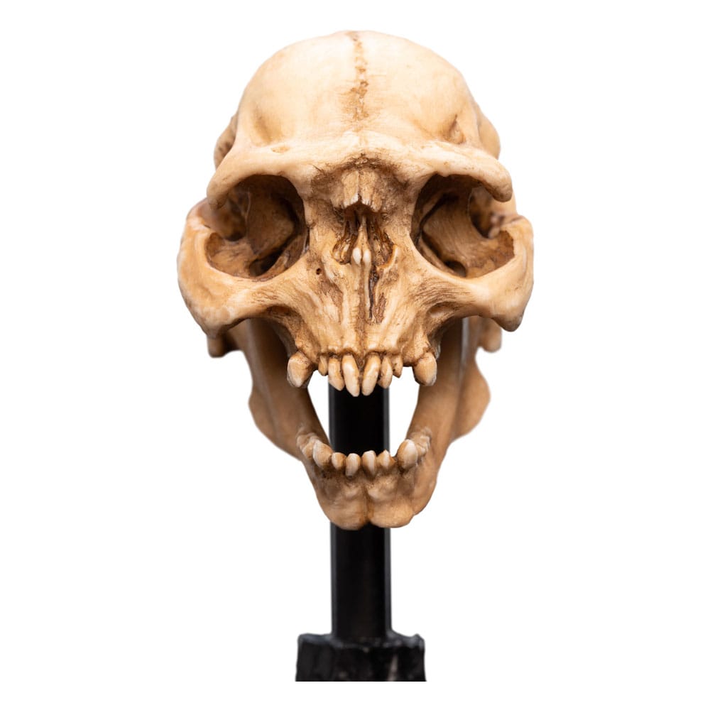 Lord of the Rings - Mini Statue - Skull of a Moria Orc