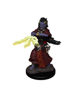 Dungeons & Dragons - Miniatures: Nolzur Mum Night Hag & Dusk Hag