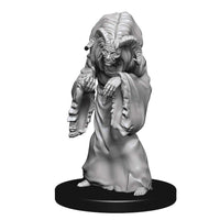 Dungeons & Dragons - Miniatures: Nolzur Mum Night Hag & Dusk Hag