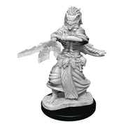 Dungeons & Dragons - Miniatures: Nolzur Mum Night Hag & Dusk Hag