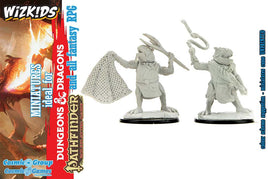 Dungeons & Dragons - Miniatures: Nolzur Mum Kuo-Toa & Kuo-Toa Whip