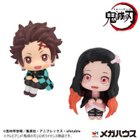 Tanjiro Kamado & Nezuko Kamado (Demon Slayer: Kimetsu no Yaiba) Look Up, Conquered the sun Version (With Gift)