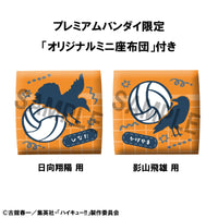 Shoyo Hinata & Tobio Kageyama (Haikyu!!) Look Up, Uniform Version (With Gift)