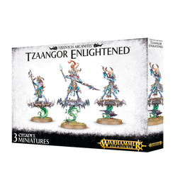 Disciples of Tzeentch - Tzaangor Enlightened