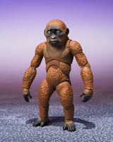 Godzilla - Godzilla x Kong: The New Empire S.H. Monster Arts Action Figures 2-Pack - Suko & Mothra