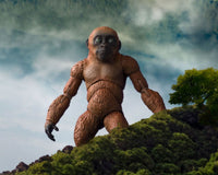 Godzilla - Godzilla x Kong: The New Empire S.H. Monster Arts Action Figures 2-Pack - Suko & Mothra