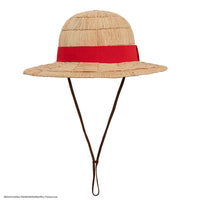 One Piece Hat Luffy Straw Hat Collector Edition