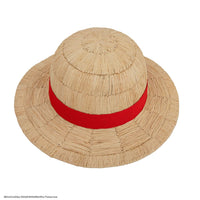 One Piece Hat Luffy Straw Hat Collector Edition