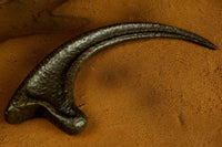 Jurassic Park Replica 1/1 Raptor Claw