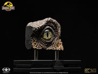 Jurassic Park - 1/1 Replica Bust - Velociraptor Eye 23 cm