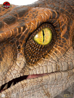 Jurassic Park - Life-Size Bust - Male Velociraptor 75 cm