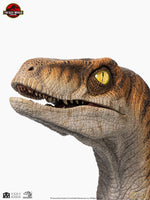 Jurassic Park - Life-Size Bust - Male Velociraptor 75 cm