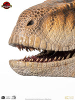 Jurassic Park - Life-Size Bust - Male Velociraptor 75 cm