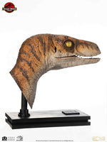 Jurassic Park - Life-Size Bust - Male Velociraptor 75 cm