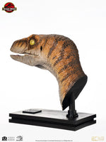 Jurassic Park - Life-Size Bust - Male Velociraptor 75 cm