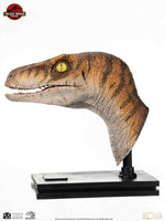 Jurassic Park - Life-Size Bust - Male Velociraptor 75 cm