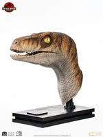 Jurassic Park - Life-Size Bust - Male Velociraptor 75 cm