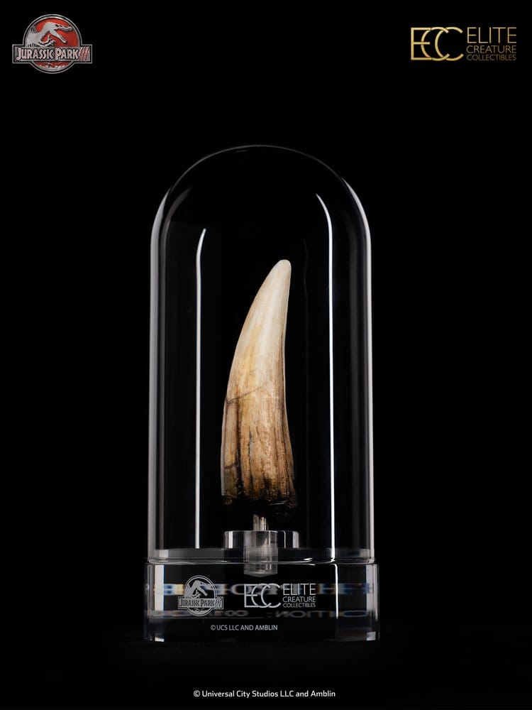Jurassic Park III Prop Replica 1/1 Spinosaurus Tooth 14 cm