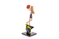 Cowboy Bebop Statue 1/8 Ed & Ein 28 cm