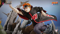 Naruto & Pain (Naruto) Elite Fandom Diorama