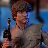 Star Wars - Episode V Bust 1/6 - Luke Skywalker