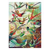 Ernst Haeckel Imagination Puzzle Hummingbirds/Kolibry (1000 pieces)