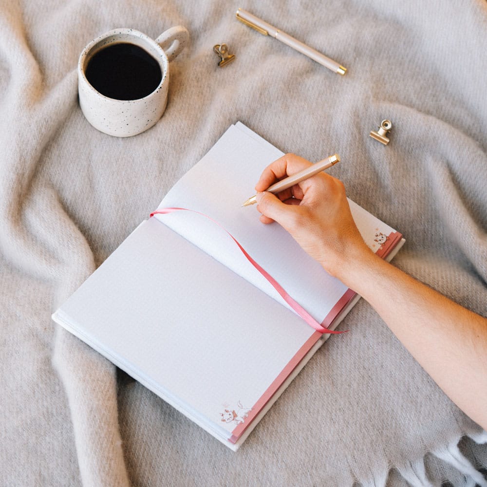 The Aristocats Premium Plush Notebook A5 Bonjour Marie