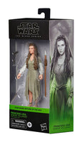 Star Wars Episode VI Black Series Action Figure 2022 Princess Leia (Ewok Village) 15 cm