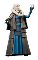 Star Wars - Episode VI 40th Anniversary Black Series Action Figure -  Bib Fortuna