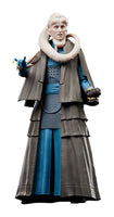 Star Wars - Episode VI 40th Anniversary Black Series Action Figure -  Bib Fortuna