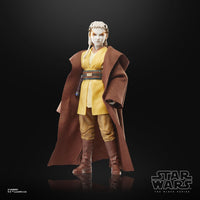 Star Wars - The Acolyte Black Series Action Figure - Padawan Jecki Lon