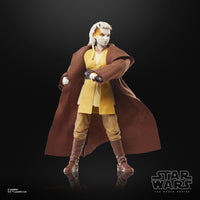 Star Wars - The Acolyte Black Series Action Figure - Padawan Jecki Lon