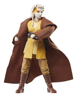 Star Wars - The Acolyte Black Series Action Figure - Padawan Jecki Lon