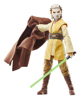 Star Wars - The Acolyte Black Series Action Figure - Padawan Jecki Lon