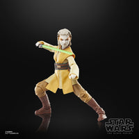 Star Wars - The Acolyte Black Series Action Figure - Padawan Jecki Lon