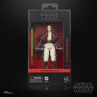 Star Wars - The Acolyte Black Series Action Figure - Jedi Master Indara