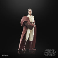 Star Wars - The Acolyte Black Series Action Figure - Jedi Master Indara