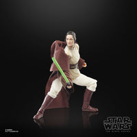 Star Wars - The Acolyte Black Series Action Figure - Jedi Master Indara