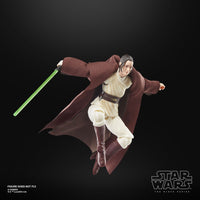 Star Wars - The Acolyte Black Series Action Figure - Jedi Master Indara