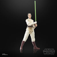 Star Wars - The Acolyte Black Series Action Figure - Jedi Master Indara