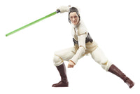 Star Wars - The Acolyte Black Series Action Figure - Jedi Master Indara