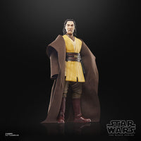 Star Wars - The Acolyte Black Series Action Figure - Jedi Master Sol