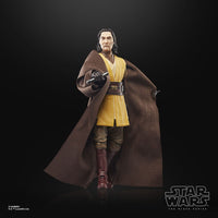 Star Wars - The Acolyte Black Series Action Figure - Jedi Master Sol