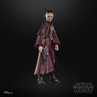 Star Wars - Episode I Black Series Action Figure - Padmé Amidala