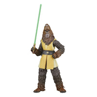 Star Wars - The Acolyte Black Series Action Figure - Jedi Master Kelnacca