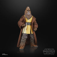 Star Wars - The Acolyte Black Series Action Figure - Jedi Master Kelnacca