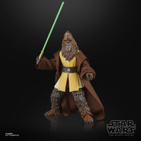 Star Wars - The Acolyte Black Series Action Figure - Jedi Master Kelnacca